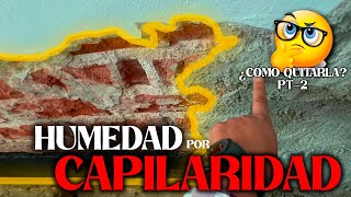 HUMEDADES POR CAPILARIDAD  ¿por qué APARECEN y cómo SOLUCIONAR 🤔 [upl. by Acnalb]