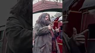 How Often Hagrid Was FAKE in Harry Potter [upl. by Cicenia]