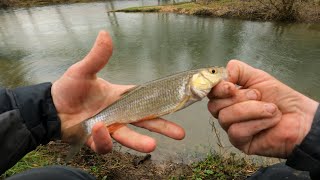 Pêche au vers en attendant la réouverture du brochet [upl. by Lewin]