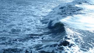 Slyde Handboards Team Rider amp Bodysurfer Makena Magro Catches Waves in Oceanside California [upl. by Roxy]