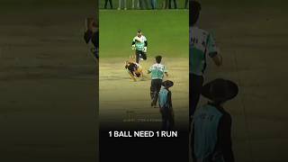 1 ball needs 1 run cricket tennisballcricket 7070sports thriller [upl. by Stanislas]