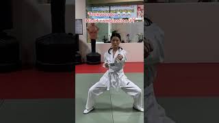 Learning taekwondo hand combination 1 [upl. by Akinert730]