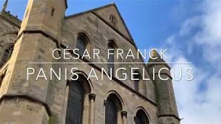 Panis Angelicus  César Franck [upl. by Octavie498]