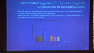 FAK Inhibitor VS6063 Target Stem Cells by Dr Paul Baas [upl. by Anear]