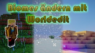 Biome ändern mit Worldedit  Minecraft Tutorial  TRyzes FlashLightTV [upl. by Server]