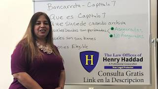 Abogados de Bancarrota Capitulo 7 Qué es la bancarrota  Capítulo 7 [upl. by Sefton]