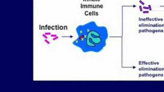 Sepsis Mining Medicinal Herbs for AntiHMGB1 Agents [upl. by Hayashi]