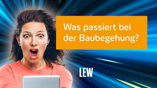 Glasfaseranschluss – eine Hausbegehung klärt die Details  LEW Highspeed [upl. by Cheston]