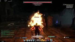 Wayrest Sewers I  ESO Magicka Dragonknight PVE Solo Build [upl. by Odlabso]