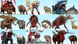 ALL NORMAL amp MUTANT PARASITE ANIMALS ZOOCHOSIS in Garrys Mod [upl. by Sucul]