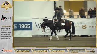 Futurity 2024  JOLINE KAMPHUIS amp KK TRICKEDMEOUT score 210 [upl. by Cirri780]