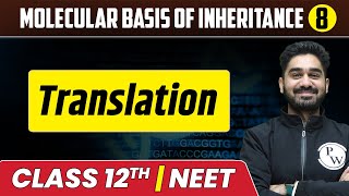 Molecular Basis Of Inheritance 08  Translation  Class 12thNEET [upl. by Atiuqrahc710]