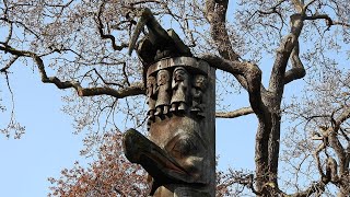 Totem Poles Of The Pacific Northwest Coast British Columbia Canada [upl. by Eerot]