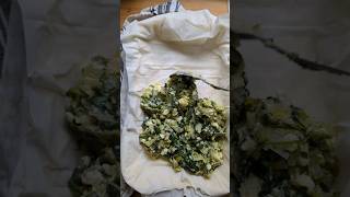 Authentic Spanakopita Recipe Greek Spinach and Leek Pie food shorts [upl. by Ellicec191]