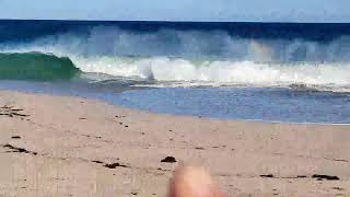 FISHING KALBARRI WESTERN AUSTRALIA beach surf [upl. by Edra]