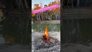 Free camp Murrumbidgee river [upl. by Mickey]