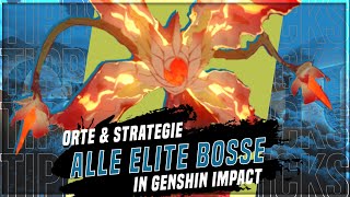 Alle Elite Bosse in Genshin Impact finden und besiegen Tutorial Deutsch [upl. by Adlai209]