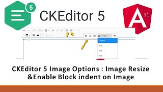 CKEditor 5 Angular 11 Image Options  Image Resize amp Enable Block indent on Image [upl. by Fellows156]