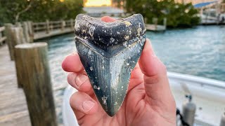 Giant Megalodon Shark Tooth Found in the Ocean Scuba Diving [upl. by Ranson]