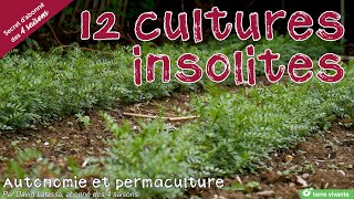 12 légumesaromatiques insolites  Autonomie et permaculture avec David [upl. by Jolda]