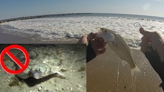 Winter Flounder Fail Fishing Dinky Clam Stripers RI 04172016 [upl. by Georg42]