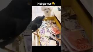 Apne imandari se aur mehnat se paise eksathe kar rahe hain😆😂shorts Sajal05viral video funny [upl. by Teplitz]