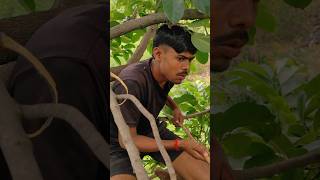 Tv Serial In Real Life 😁😁 funny funnyvideo comedy shorts [upl. by Naujet313]