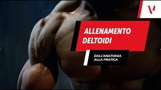 Allenamento deltoidi dallanatomia alla pratica [upl. by Eiduam885]