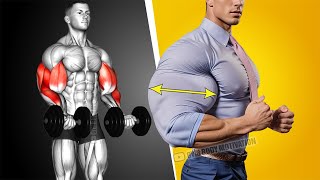 Best Biceps and Triceps Workout at Gym [upl. by Leeann796]