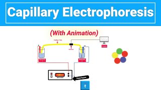 Capillary Electrophoresis with animation [upl. by Asik184]