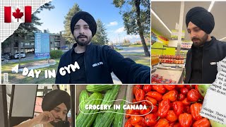 Let’s buy Groceries in Freshco Canada 🇨🇦 ll A day in the Gym ll vlog 2 😜 [upl. by Neely]