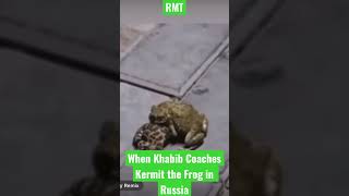 When Khabib Coached Kermit the Frog in Wrestling For UFC Tadpole Title Russia khabib frogs kermit [upl. by Pillihpnhoj661]