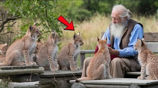 Pequeños Cachorros de Lince Rodean Al Hombre ¡Solo Mira Lo Que Sucede A Continuación Es Increíbl [upl. by Gloria]