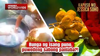 Bunga ng isang puno puwedeng sabong panlaba  Kapuso Mo Jessica Soho [upl. by Naillimxam930]