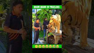 Harsh Rajput in Thailand 😂 Dhakad News reporter in Thailand funny vlog Harsh Rajput funny shorts [upl. by Berlauda566]