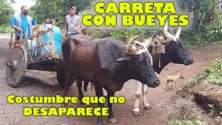 ✅🐂 CARRETA con BUEYES en Elsalvador [upl. by Cale]