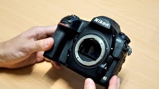 Nikon D850  Review and Sample Photos [upl. by Eilram490]