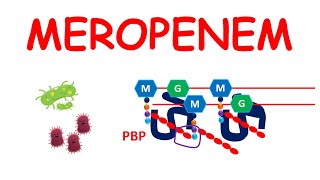 Meropenem IV infusion  Precautions side effects amp uses [upl. by Ojadnama]