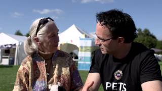 Dr Jane Goodall at The VET Festival 2015 [upl. by Ednalrim]