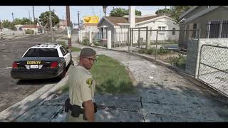 gtawio Challenge quotRave in Los Santos Countyquot  LSSD [upl. by Ssecnirp446]