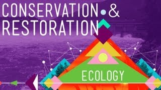 Conservation and Restoration Ecology Crash Course Ecology 12 [upl. by Hwang994]