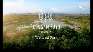 Iringan Bayu Wetland Park [upl. by Undine275]