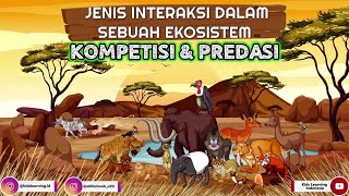 Interaksi Makhluk Hidup Dalam Sebuah Ekosistem  KOMPETISI amp PREDASI Beserta Penjelasannya  IPA [upl. by France]