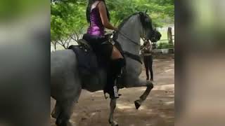 Zulema Ferrer Amazona a Caballo [upl. by Aivatnohs]