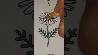 Colorindo flor shots art johannabasford cute flowers kawaii brutfuner music pop drawing [upl. by Pournaras377]