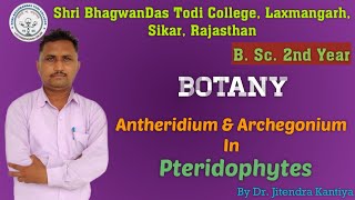 B Sc 2nd Year  Botany  Antheridium  Dr Jitendra Kantiya  Shri BhagwanDas Todi College [upl. by Maiocco492]