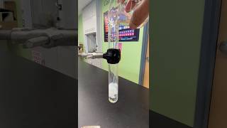 Double Displacement Reaction  NaCl  AgNO3  AgCl  NaNO3 chemistry ilovefunscience [upl. by Aynas]