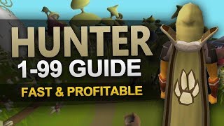 OSRS 199 Hunter Guide [upl. by Galina591]