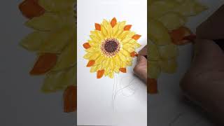 How to draw flower shortstoday shortsfeed easydrawing trending  art ytshorts [upl. by Sioux]