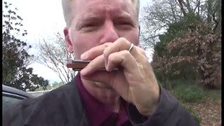 Gussows Classic Blues Harmonica Videos trailer [upl. by Ora204]